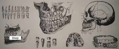 [Teeth] - Bad Luck Banging or Loony Porn