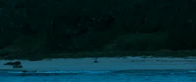 Telephone, please hurry! - The Shallows