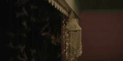 [television news chatter] - Suncoast