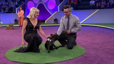 Tell me a little bit
about his snoring patterns. - 2022 American Rescue Dog Show