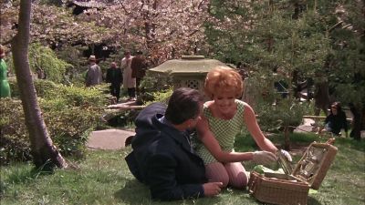 Tell me about Bobby Kennedy - Petulia