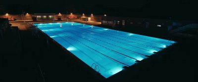 Tell me about your training. - The Swimmers