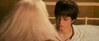 Tell me, what do you see? - Harry Potter and the Philosopher's Stone