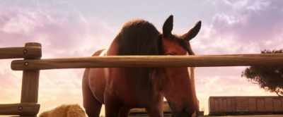 Tell me, what's wrong
with your friend? - Gracie & Pedro: Pets to the Rescue