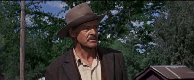 How does it feel - The Wild Bunch