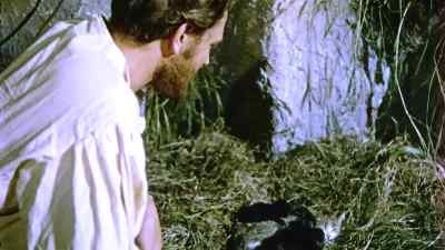        Tell me only this. - Robinson Crusoe