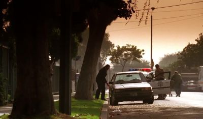 Tell me what you see. - CSI: Crime Scene Investigation
