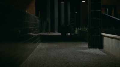 "Tell me where, oh where" - DAU. Degeneration