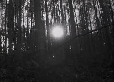 Tell me you're not eating a dry leaf. - The Blair Witch Project