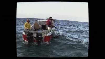 Telling them that they're
an endangered species and all that. - Playing with Sharks