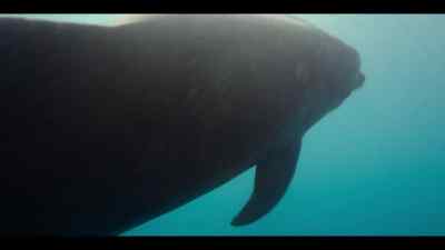 Temperatures aren't just rising
in the Mediterranean. - Our Oceans