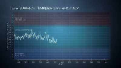 Temperatures in the ocean
go through normal cycles. - Chasing Coral