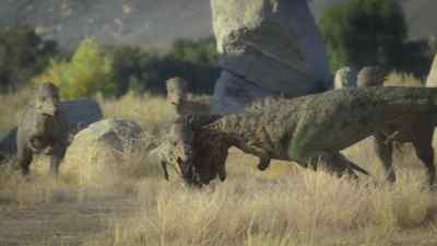 Ten-inch-thick skulls enable them
to survive powerful, head-on collisions. - Prehistoric Planet