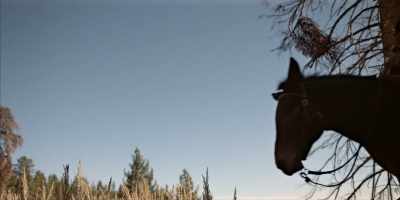 Ten years gone, 'proaching
that self-same hill - Deadwood: The Movie