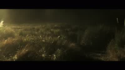 Tennessee, come in for fuck's sake! - Alien: Covenant