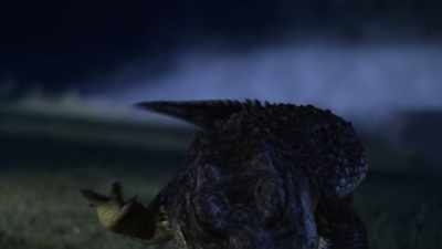 [tense music continues]
[alligator growling] - Bad CGI Gator