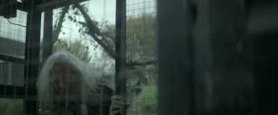 ♪ [tense music playing] ♪ - Lord of Misrule