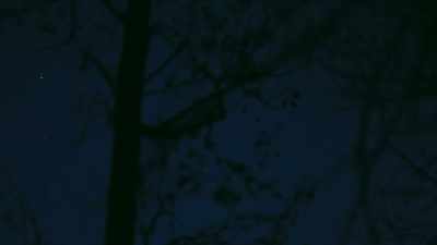  [tense music] - Phrogging: Hider in My House