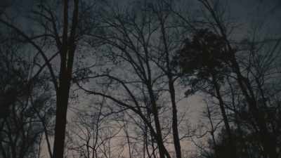  [tense music] - Phrogging: Hider in My House