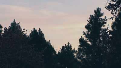  [tense music] - Phrogging: Hider in My House