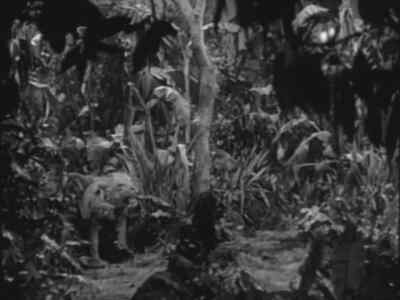[tense music] - Africa Screams