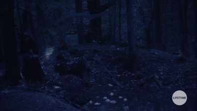 [tense music] - The Watcher in the Woods