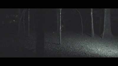 [tense music] - Forest of Death