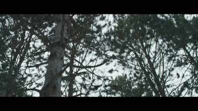 (tense warbling music) - Battle of the Bulge: Winter War