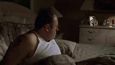 [Terence] At his core, - Wise Guy: David Chase and The Sopranos