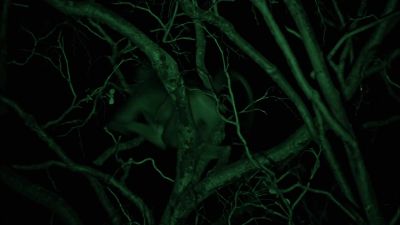              [terra]
  oh, we finally have animals. - Naked and Afraid