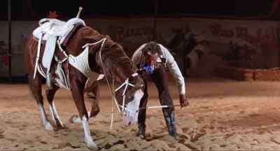 Terrific! - Bronco Billy