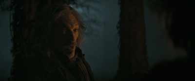 Terrified, fearing conviction, - The Three Musketeers: D'Artagnan