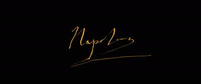 Terror is nothing more than justice. - Napoleon
