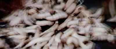 TERRY: Christ! - Dawn of the Dead