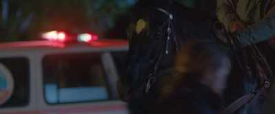 [Terry grunts] - Black Beauty