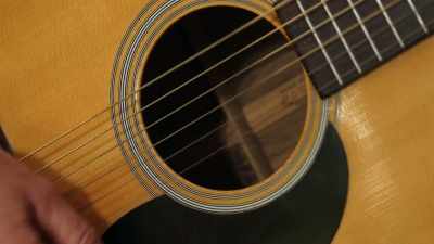 TERRY: It's live music,
you know, string band music. - Buried In The Backyard