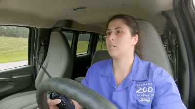  Tessa: Go ahead. - Secrets of the Zoo
