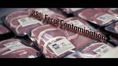 Testing shows 88% of pork chops - What the Health