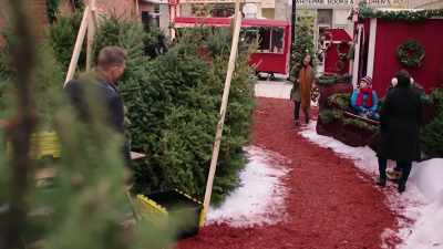 -Thank you.
-[chuckles] - The Christmas Setup