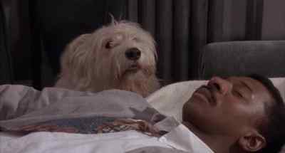 Thank you, darling. - The Meteor Man