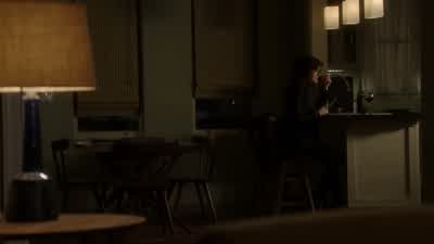 Thank you for coming back. - The Blacklist