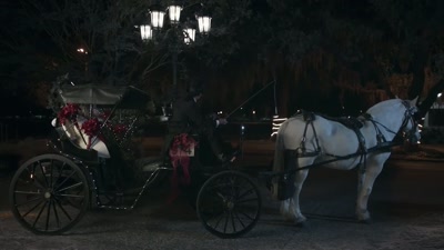 -Thank you. Hello, sir.
-Good evening, miss. - Christmas in Pine Valley