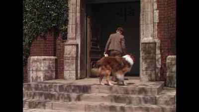 Thank you, Lassie. - Lassie Come Home