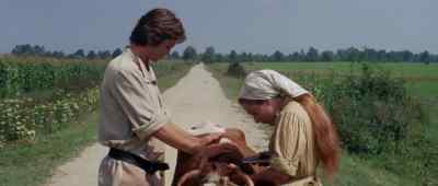 Thank you. - Fiddler on the Roof