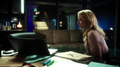 Thank you. - CSI: Crime Scene Investigation