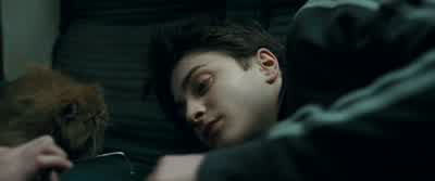 Thank you. - Harry Potter and the Prisoner of Azkaban