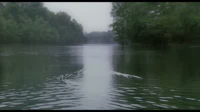 Thank you! - Big Fish