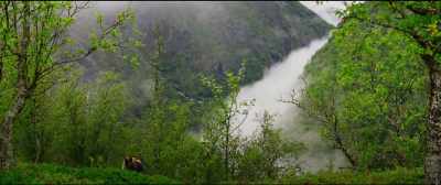 - Thank you for saving us, Espen.
- Don't think about it. - The Ash Lad: In the Hall of the Mountain King