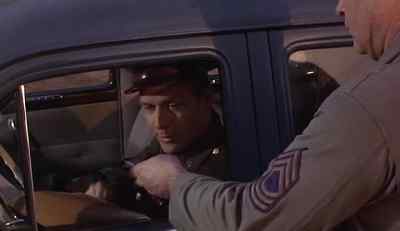 Thank you, sergeant. - The Sergeant
