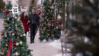 Thank you for stepping up
last night at the tree lighting. - Holiday for Heroes